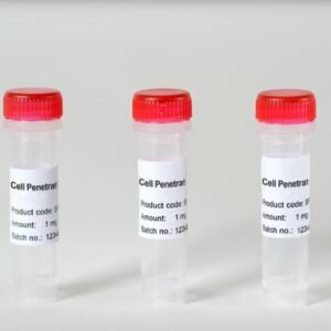 Cys-Arg8 Polyarginine Peptide